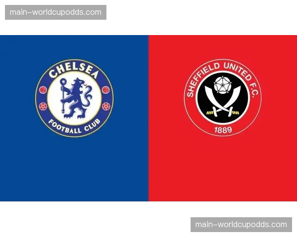 谢菲尔德联提前四轮降级，重返英超一个赛季后再度离开